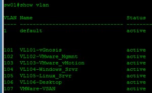 vGnosis Show Vlan